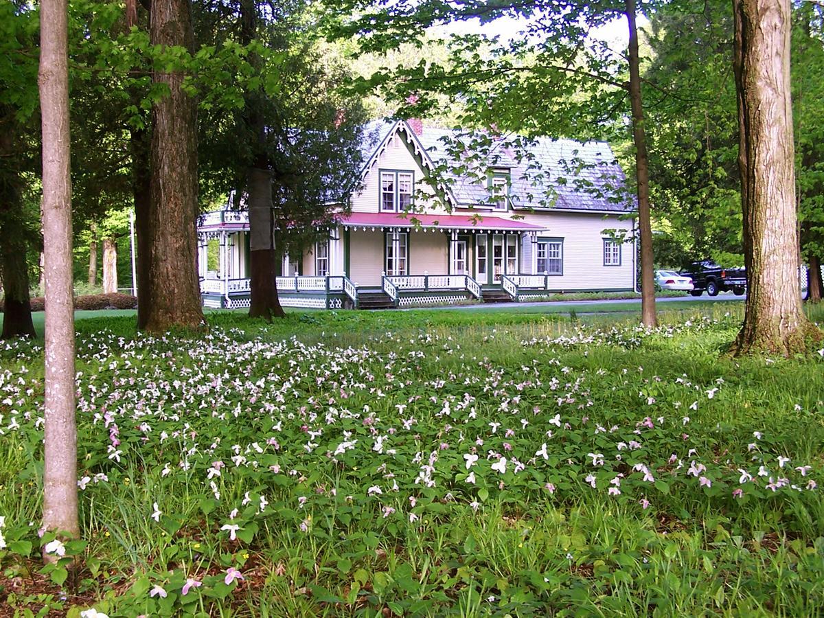 Dreamhouse Country Inn Bristol Dış mekan fotoğraf